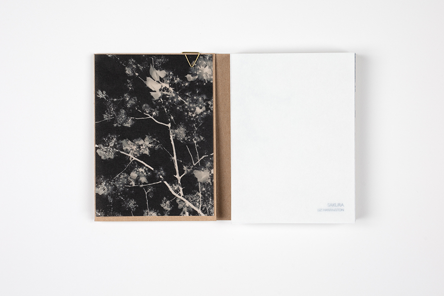 http://www.lizharrington.com/files/gimgs/1_v1---inside-cover-front-with-paper-neg-plus-washi-sheet---crop---low-res.jpg