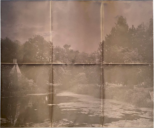 http://www.lizharrington.com/files/gimgs/43_1unfixedlumenlandscapesatnoon2021450px.jpg