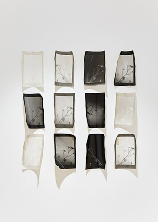 http://www.lizharrington.com/files/gimgs/46_1correspondencebroadway6596dpi450px.jpg